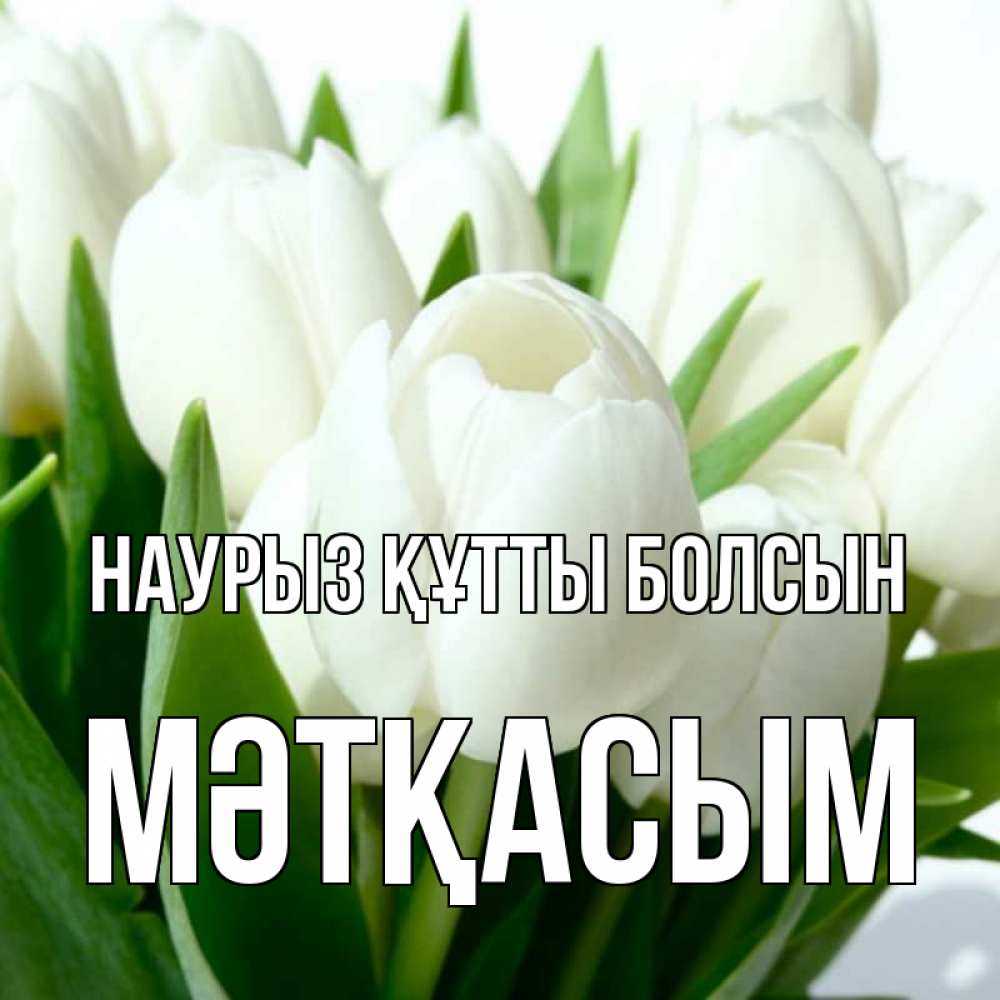 Күн сайын ашық хат с именем, МӘТҚАСЫМ Наурыз құтты болсын цветы Онлайн тегін жүктеп алу тілектері бар керемет карта 