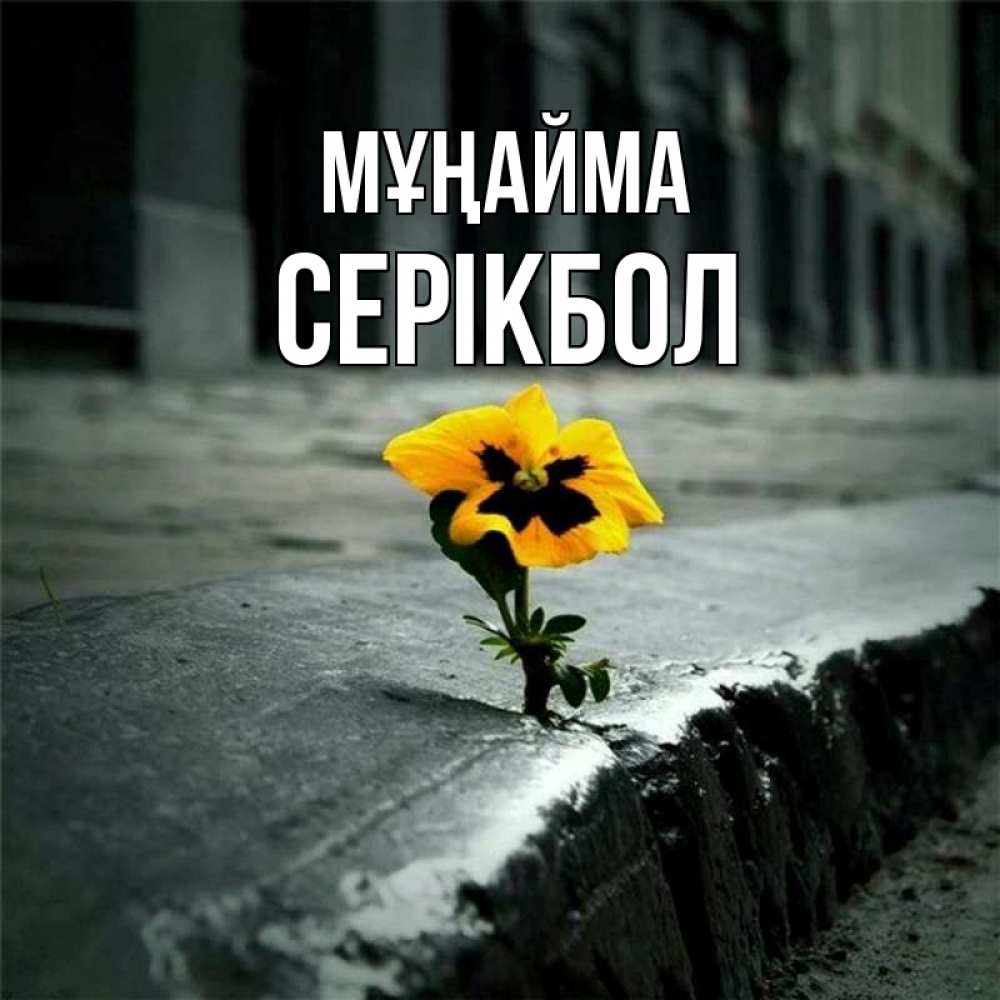 Күн сайын ашық хат с именем, СЕРІКБОЛ Мұңайма не сдавайся Онлайн тегін жүктеп алу тілектері бар керемет карта 