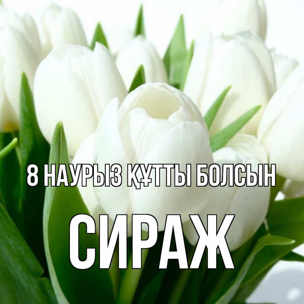 Күн сайын ашық хат с именем, СИРАЖ 8 наурыз құтты болсын цветы Онлайн тегін жүктеп алу тілектері бар керемет карта 