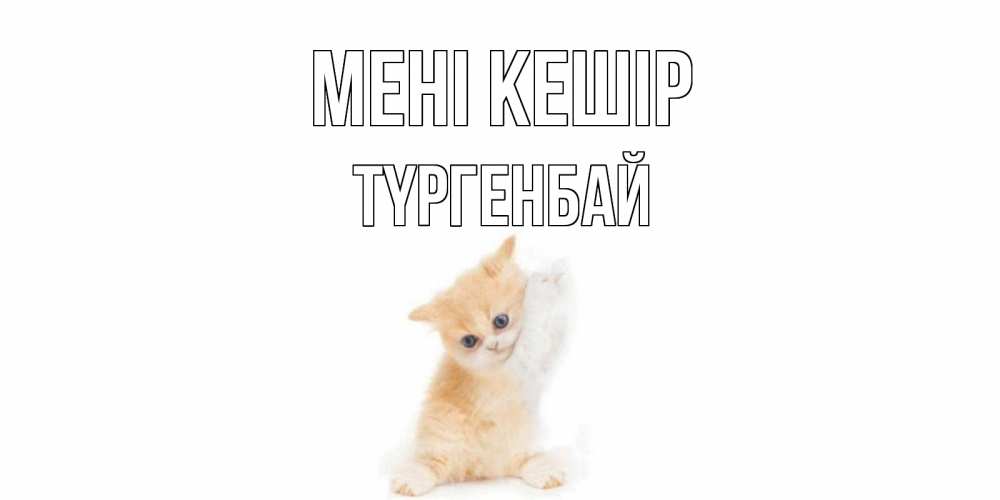 Күн сайын ашық хат с именем, ТҮРГЕНБАЙ Мені кешір кот Онлайн тегін жүктеп алу тілектері бар керемет карта 