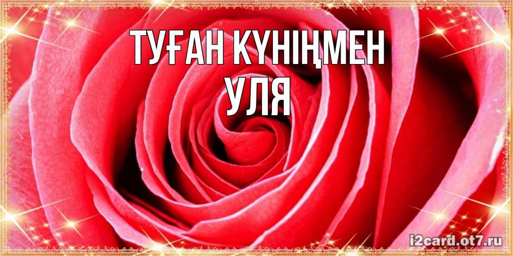 Күн сайын ашық хат с именем, Уля Туған күніңмен розовая роза очень крупный бутон Онлайн тегін жүктеп алу тілектері бар керемет карта 