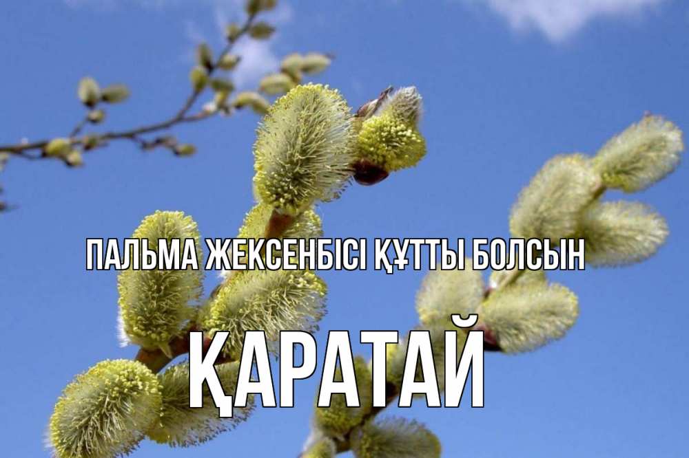 Күн сайын ашық хат с именем, Қаратай Пальма жексенбісі құтты болсын верба Онлайн тегін жүктеп алу тілектері бар керемет карта 