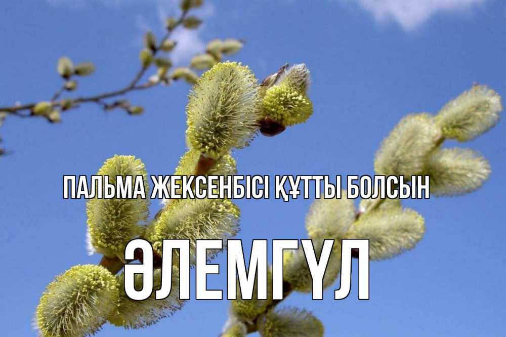Күн сайын ашық хат с именем, ӘЛЕМГҮЛ Пальма жексенбісі құтты болсын верба Онлайн тегін жүктеп алу тілектері бар керемет карта 