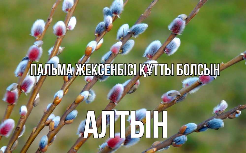 Күн сайын ашық хат с именем, АЛТЫН Пальма жексенбісі құтты болсын верба Онлайн тегін жүктеп алу тілектері бар керемет карта 