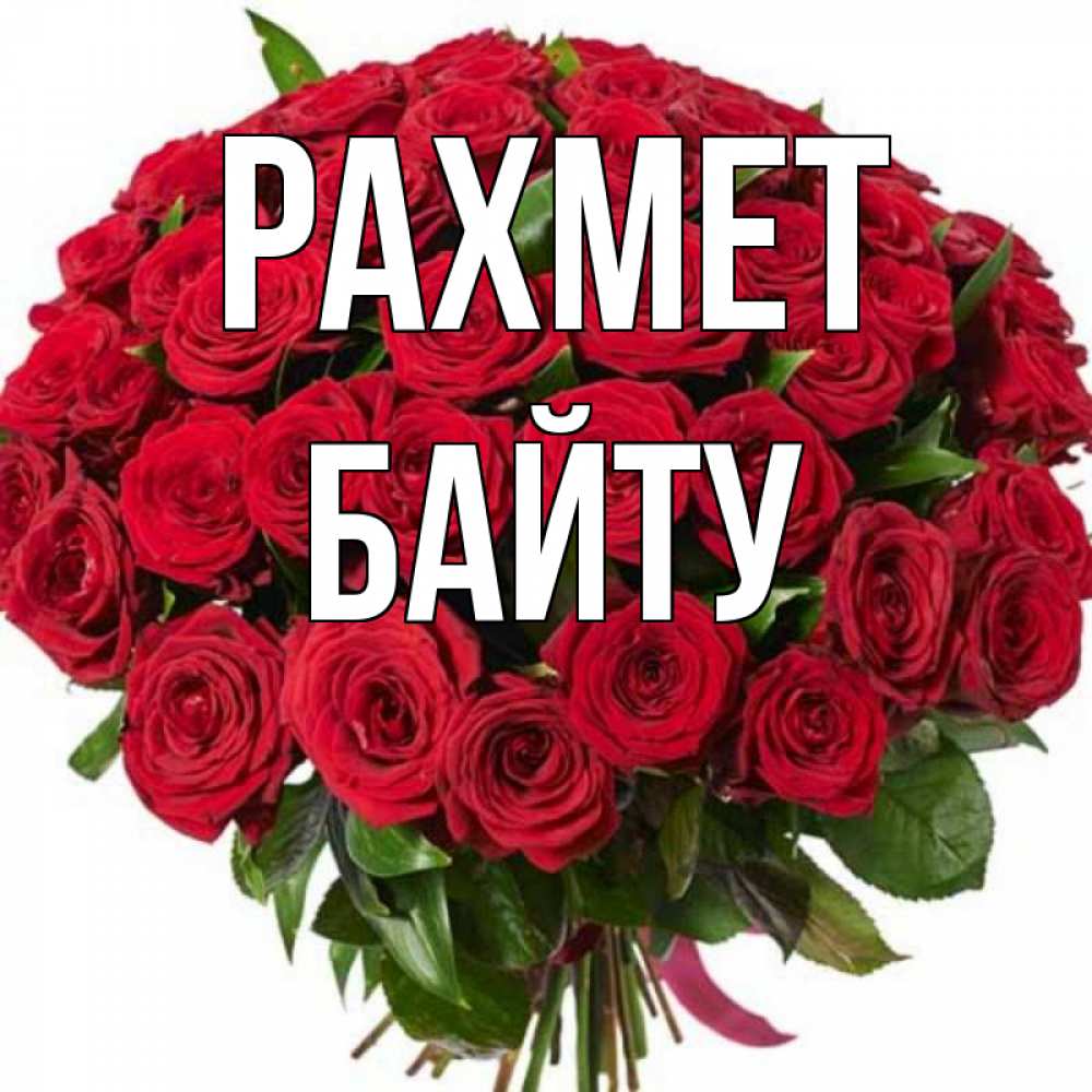 Күн сайын ашық хат с именем, Байту рахмет букет красных роз Онлайн тегін жүктеп алу тілектері бар керемет карта 