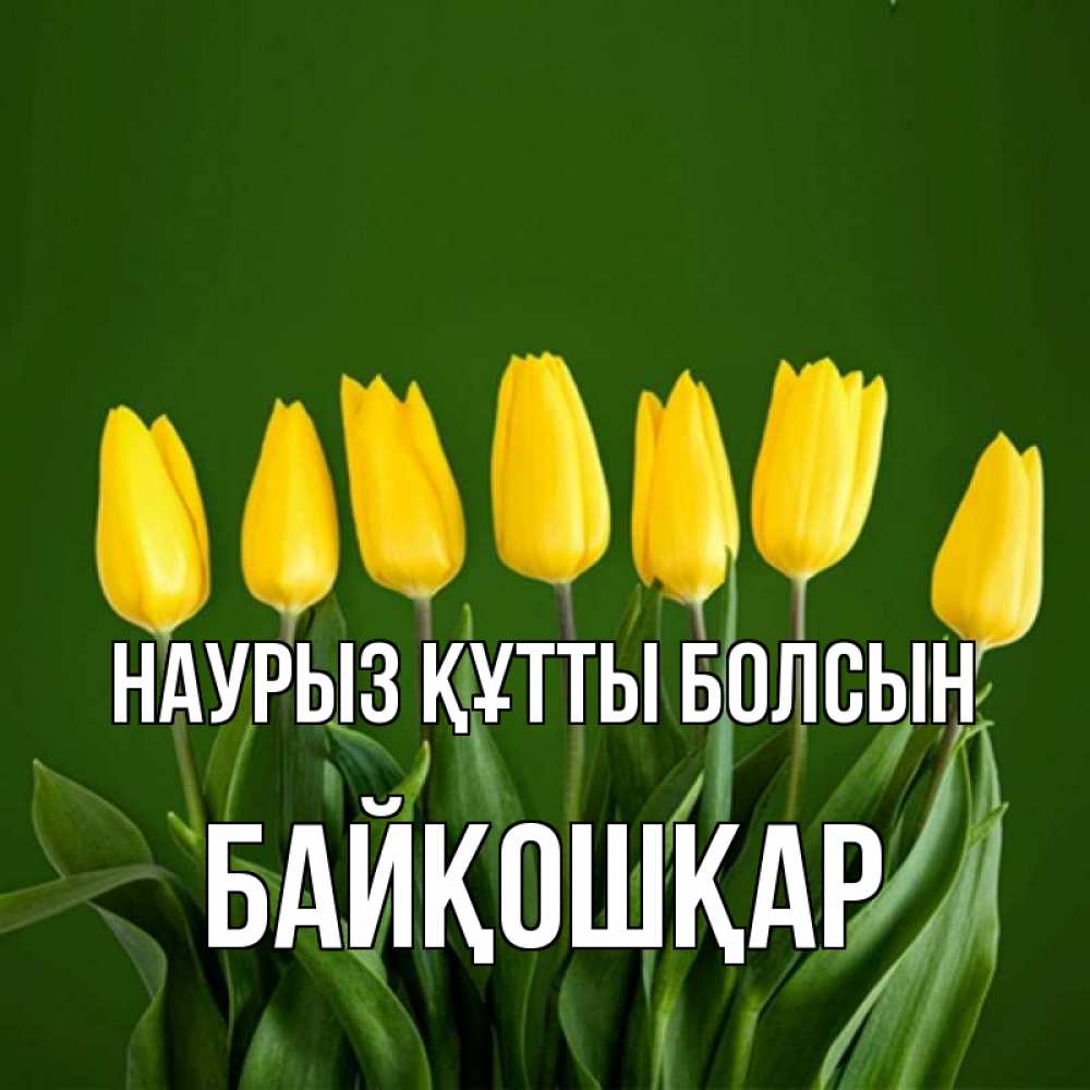 Күн сайын ашық хат с именем, Байқошқар Наурыз құтты болсын желтого цвета 3 Онлайн тегін жүктеп алу тілектері бар керемет карта 