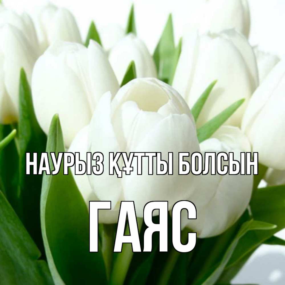 Күн сайын ашық хат с именем, Гаяс Наурыз құтты болсын цветы Онлайн тегін жүктеп алу тілектері бар керемет карта 