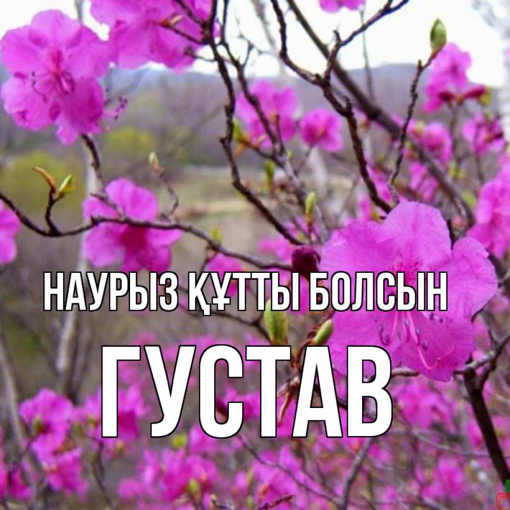 Күн сайын ашық хат с именем, Густав Наурыз құтты болсын наурыз мейрамы кутты болсын Онлайн тегін жүктеп алу тілектері бар керемет карта 