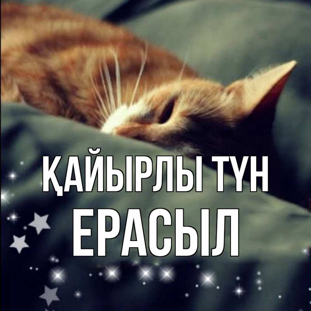 Күн сайын ашық хат с именем, Ерасыл Қайырлы түн кроватка Онлайн тегін жүктеп алу тілектері бар керемет карта 