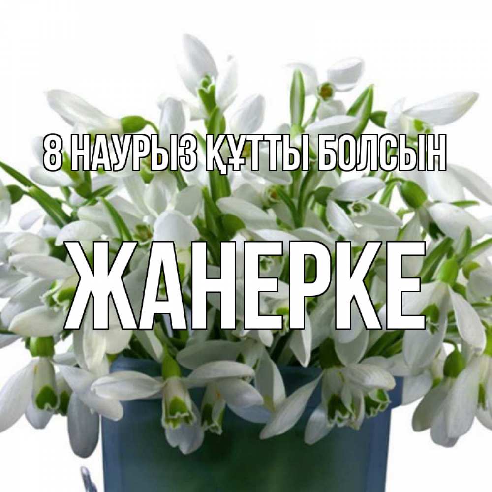Күн сайын ашық хат с именем, ЖАНЕРКЕ 8 наурыз құтты болсын цветы к международному женскому дню Онлайн тегін жүктеп алу тілектері бар керемет карта 