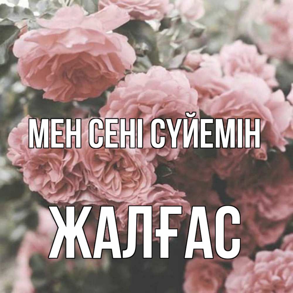 Күн сайын ашық хат с именем, Жалғас Мен сені сүйемін розы 3 Онлайн тегін жүктеп алу тілектері бар керемет карта 