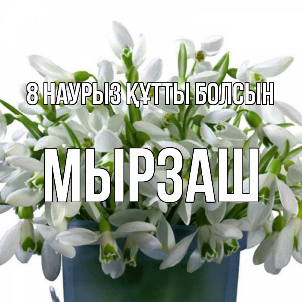 Күн сайын ашық хат с именем, Мырзаш 8 наурыз құтты болсын цветы к международному женскому дню Онлайн тегін жүктеп алу тілектері бар керемет карта 