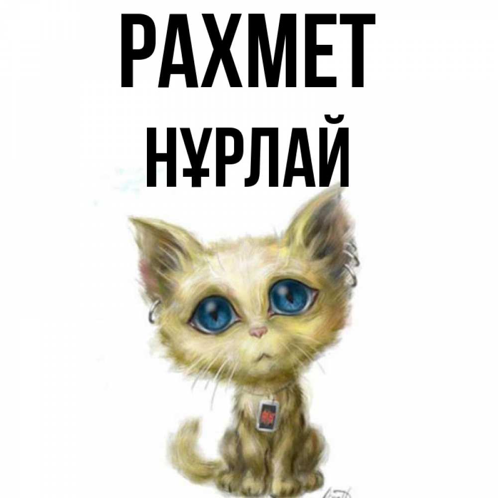 Күн сайын ашық хат с именем, НҰРЛАЙ рахмет рисованный кот благодарит вас Онлайн тегін жүктеп алу тілектері бар керемет карта 