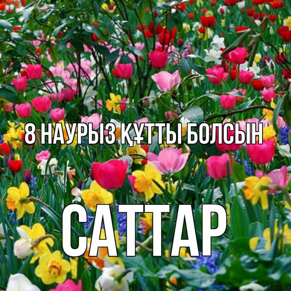 Күн сайын ашық хат с именем, САТТАР 8 наурыз құтты болсын с международным женским днем поздравления для женщины Онлайн тегін жүктеп алу тілектері бар керемет карта 