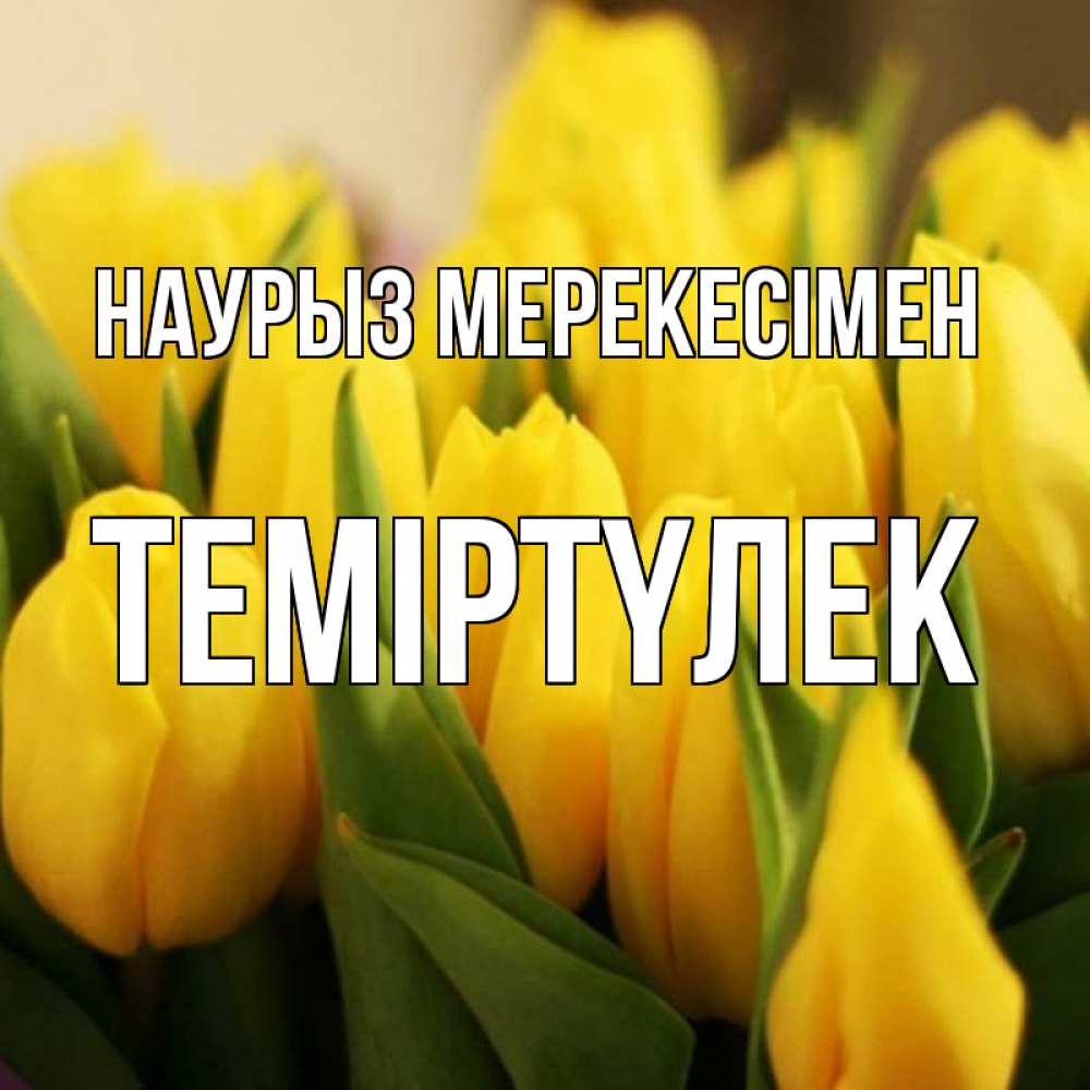 Күн сайын ашық хат с именем, ТЕМІРТҮЛЕК Наурыз мерекесімен цветы Онлайн тегін жүктеп алу тілектері бар керемет карта 