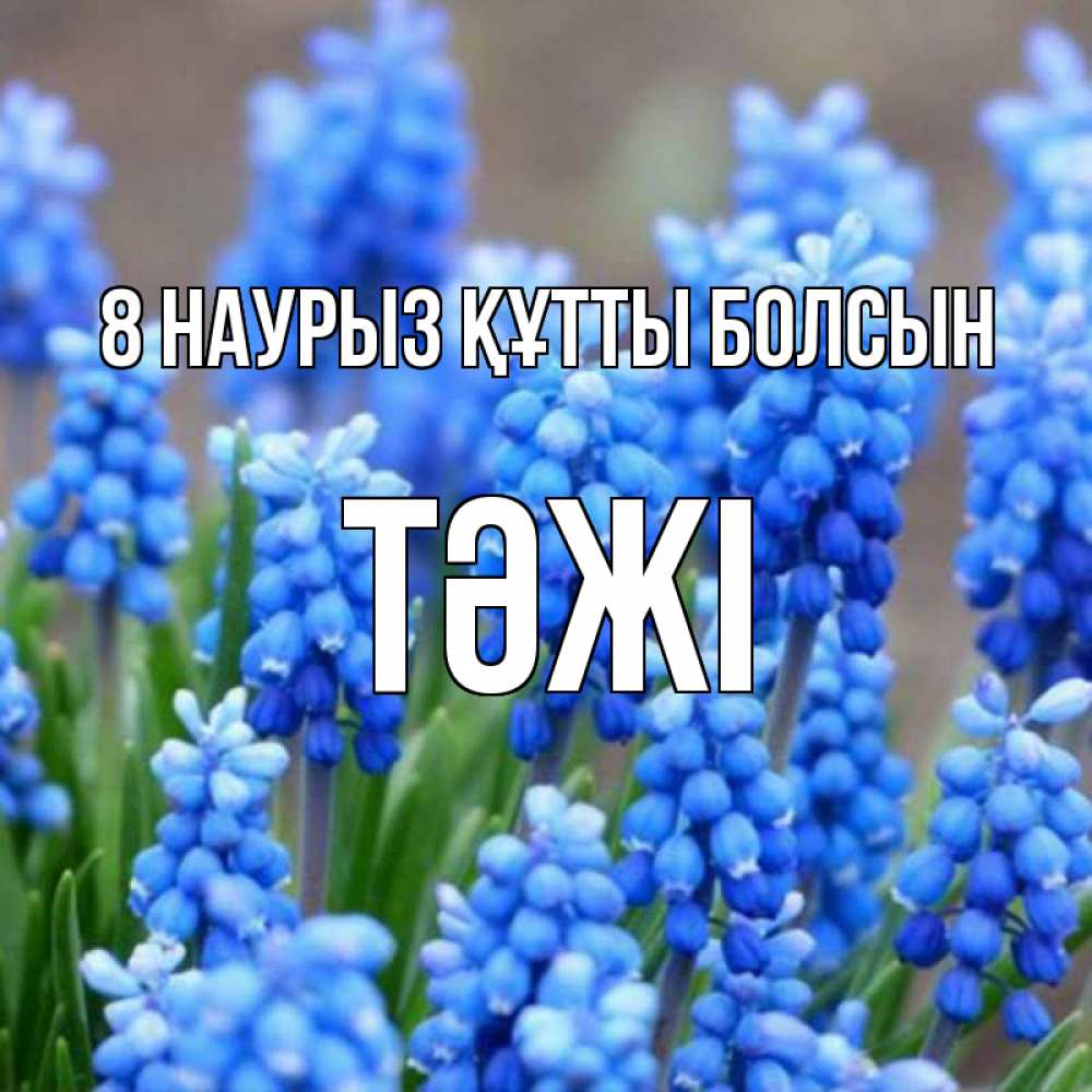 Күн сайын ашық хат с именем, ТӘЖІ 8 наурыз құтты болсын Поздравительная открытка для женщин с цветами на праздничную дату Онлайн тегін жүктеп алу тілектері бар керемет карта 