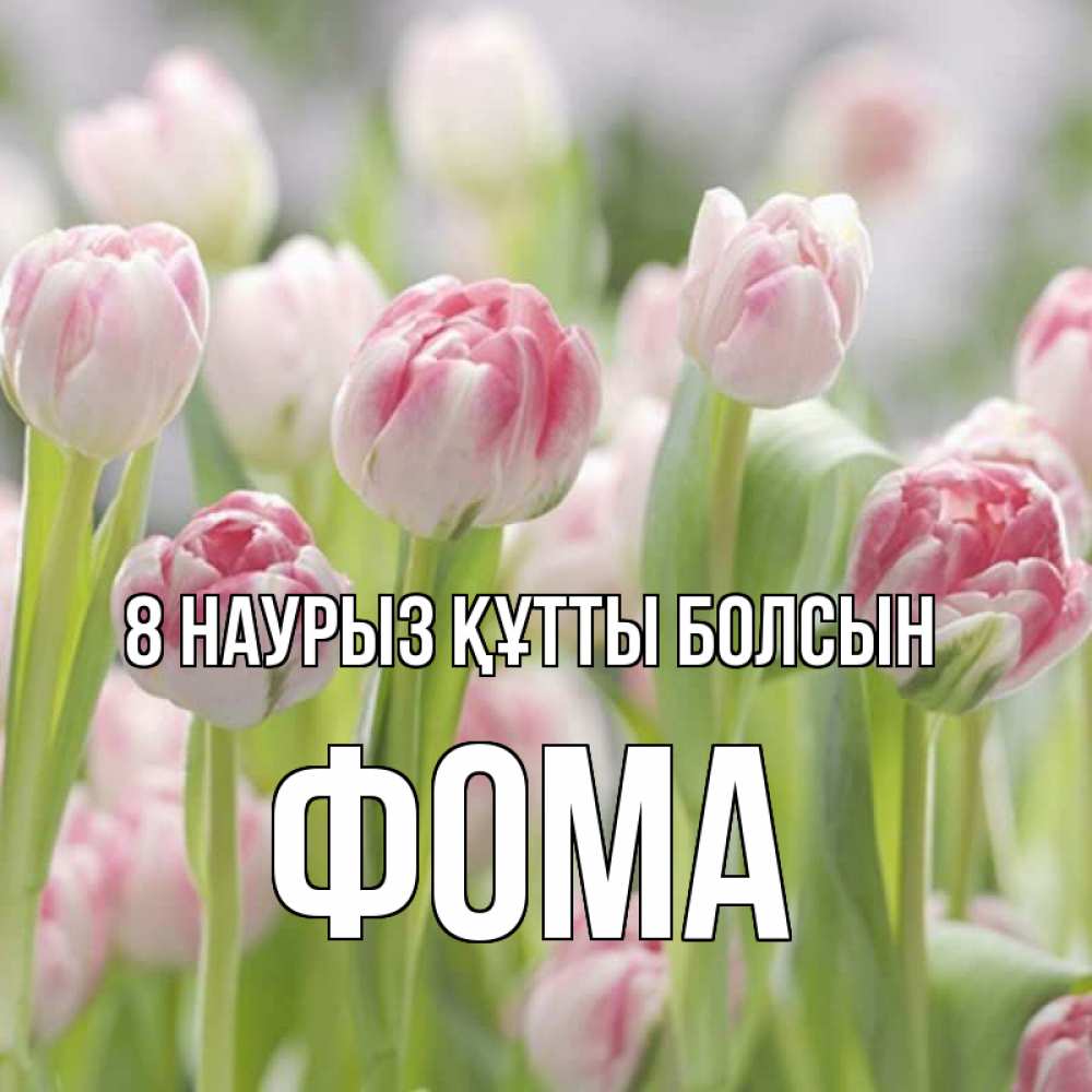 Күн сайын ашық хат с именем, Фома 8 наурыз құтты болсын цветы Онлайн тегін жүктеп алу тілектері бар керемет карта 