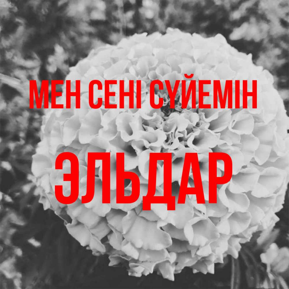 Күн сайын ашық хат с именем, Эльдар Мен сені сүйемін подпись Онлайн тегін жүктеп алу тілектері бар керемет карта 