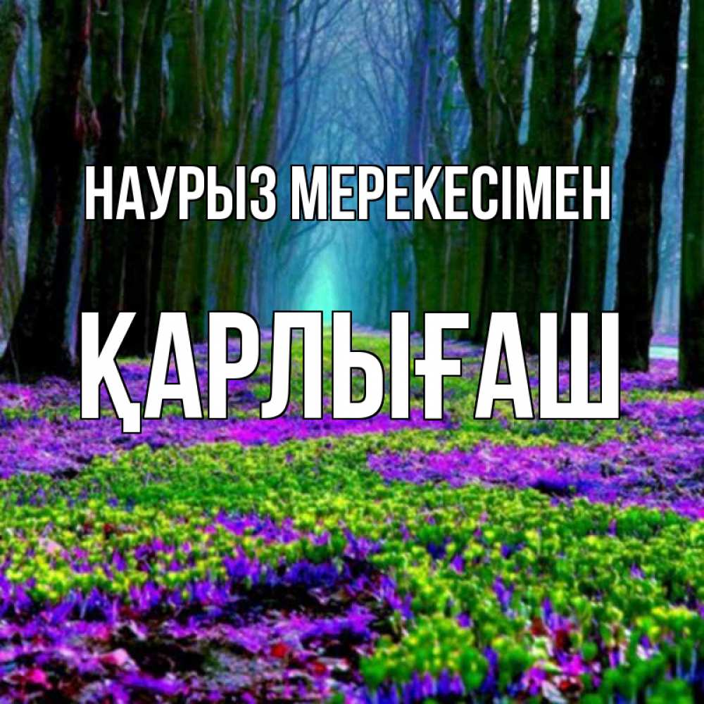 Күн сайын ашық хат с именем, ҚАРЛЫҒАШ Наурыз мерекесімен фиолетовые цветы в лесу 1 Онлайн тегін жүктеп алу тілектері бар керемет карта 