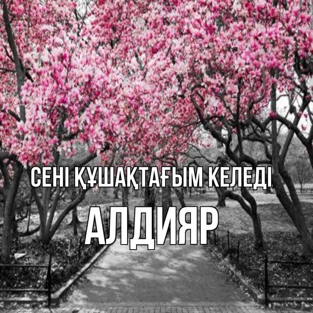 Күн сайын ашық хат с именем, Алдияр сені құшақтағым келеді обработанное фото Онлайн тегін жүктеп алу тілектері бар керемет карта 