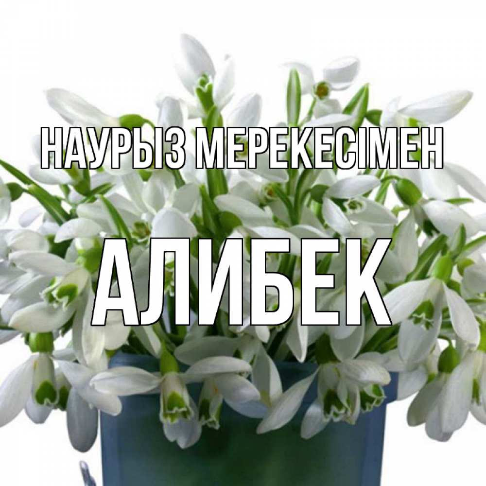 Күн сайын ашық хат с именем, Алибек Наурыз мерекесімен цветы к наурызу новый год в Казахстане Онлайн тегін жүктеп алу тілектері бар керемет карта 