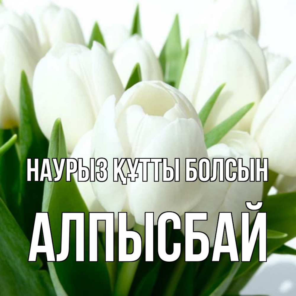 Күн сайын ашық хат с именем, Алпысбай Наурыз құтты болсын цветы Онлайн тегін жүктеп алу тілектері бар керемет карта 