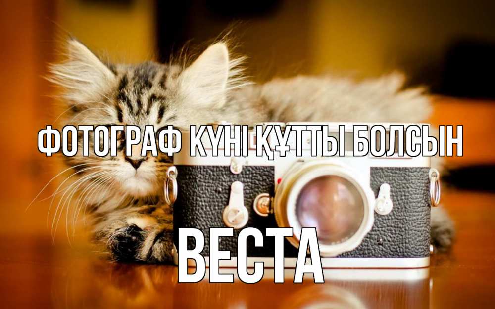 Күн сайын ашық хат с именем, Веста Фотограф күні құтты болсын с днем фотографа Онлайн тегін жүктеп алу тілектері бар керемет карта 