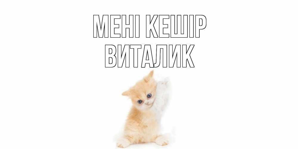 Күн сайын ашық хат с именем, Виталик Мені кешір кот Онлайн тегін жүктеп алу тілектері бар керемет карта 
