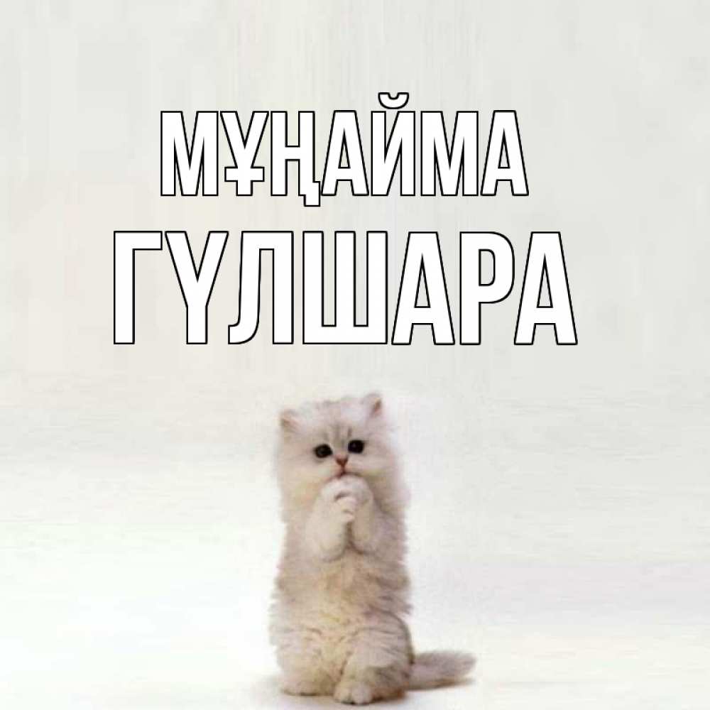 Күн сайын ашық хат с именем, ГҮЛШАРА Мұңайма грустный кот Онлайн тегін жүктеп алу тілектері бар керемет карта 