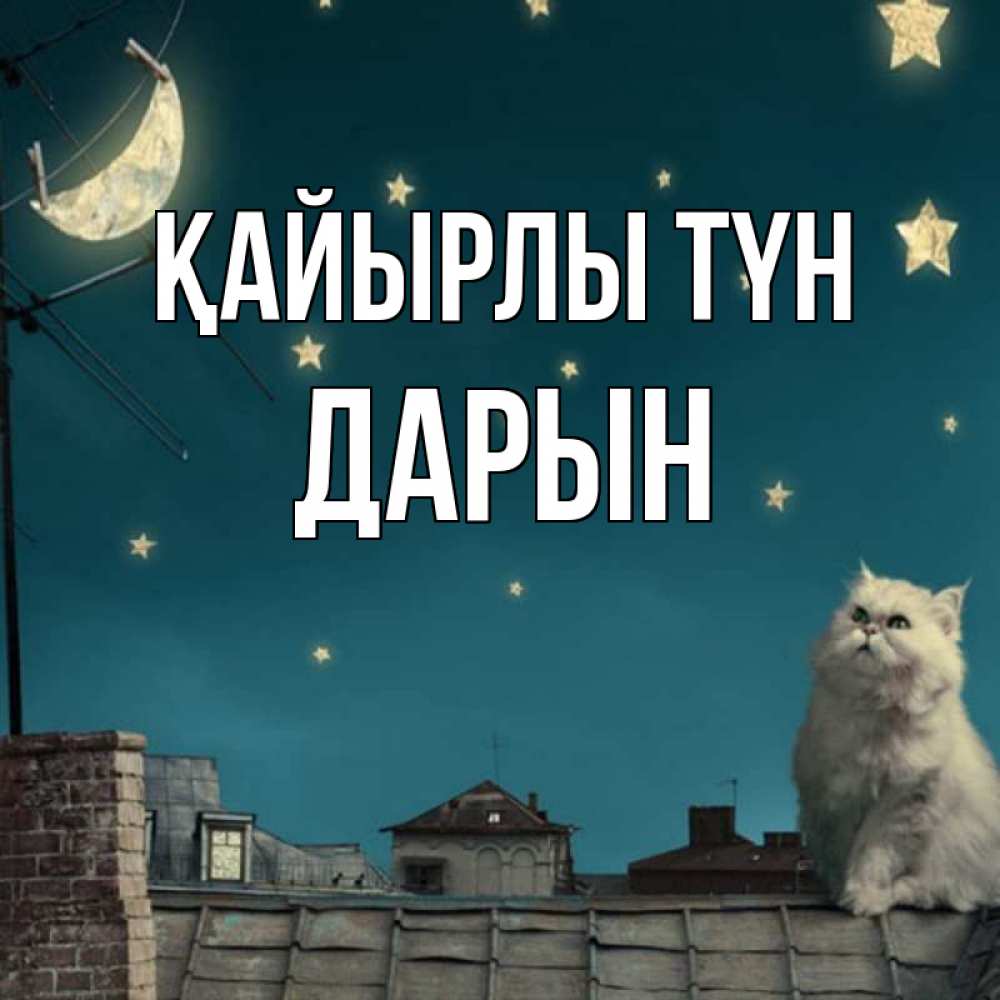Күн сайын ашық хат с именем, Дарын Қайырлы түн белый кот сидит на крыше Онлайн тегін жүктеп алу тілектері бар керемет карта 