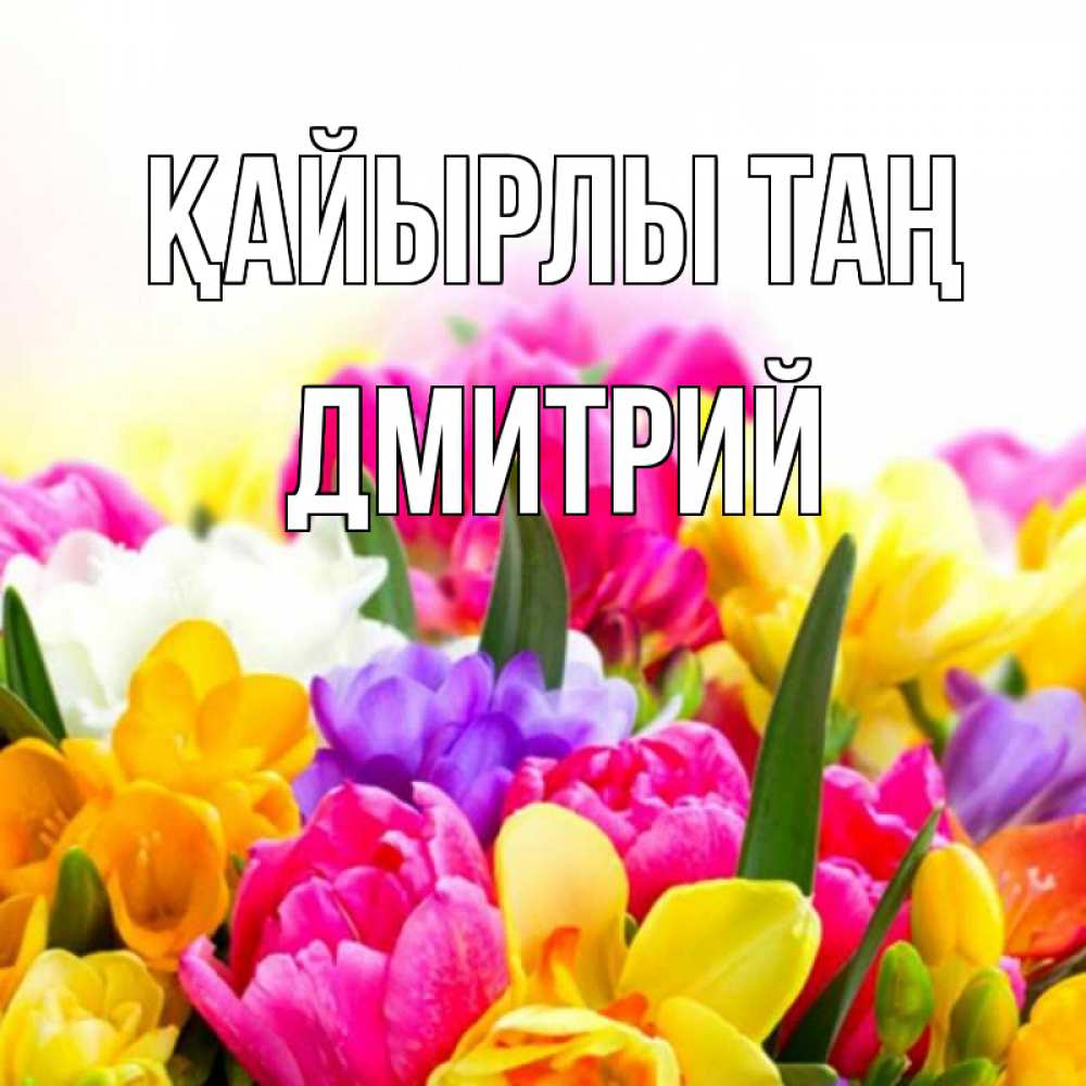Күн сайын ашық хат с именем, Дмитрий Қайырлы таң создать открытку со свое подписью Онлайн тегін жүктеп алу тілектері бар керемет карта 