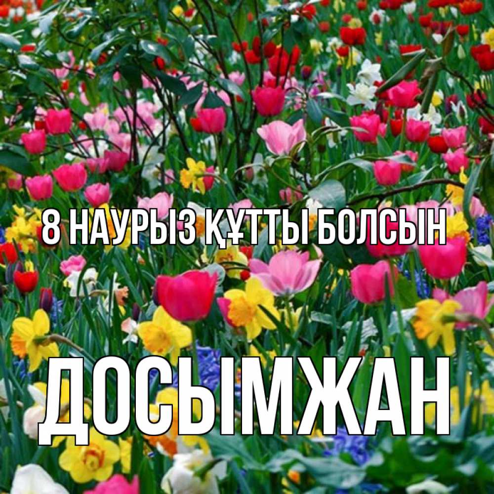 Күн сайын ашық хат с именем, Досымжан 8 наурыз құтты болсын с международным женским днем поздравления для женщины Онлайн тегін жүктеп алу тілектері бар керемет карта 