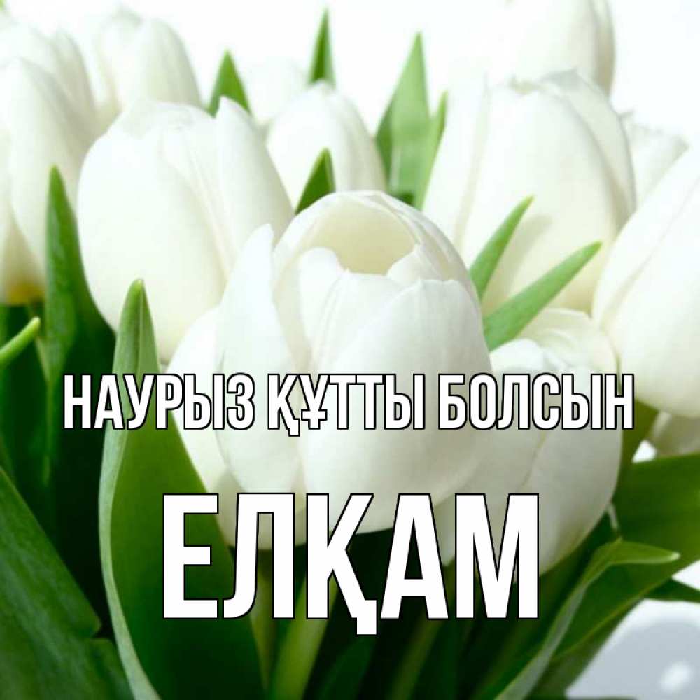 Күн сайын ашық хат с именем, Елқам Наурыз құтты болсын цветы Онлайн тегін жүктеп алу тілектері бар керемет карта 