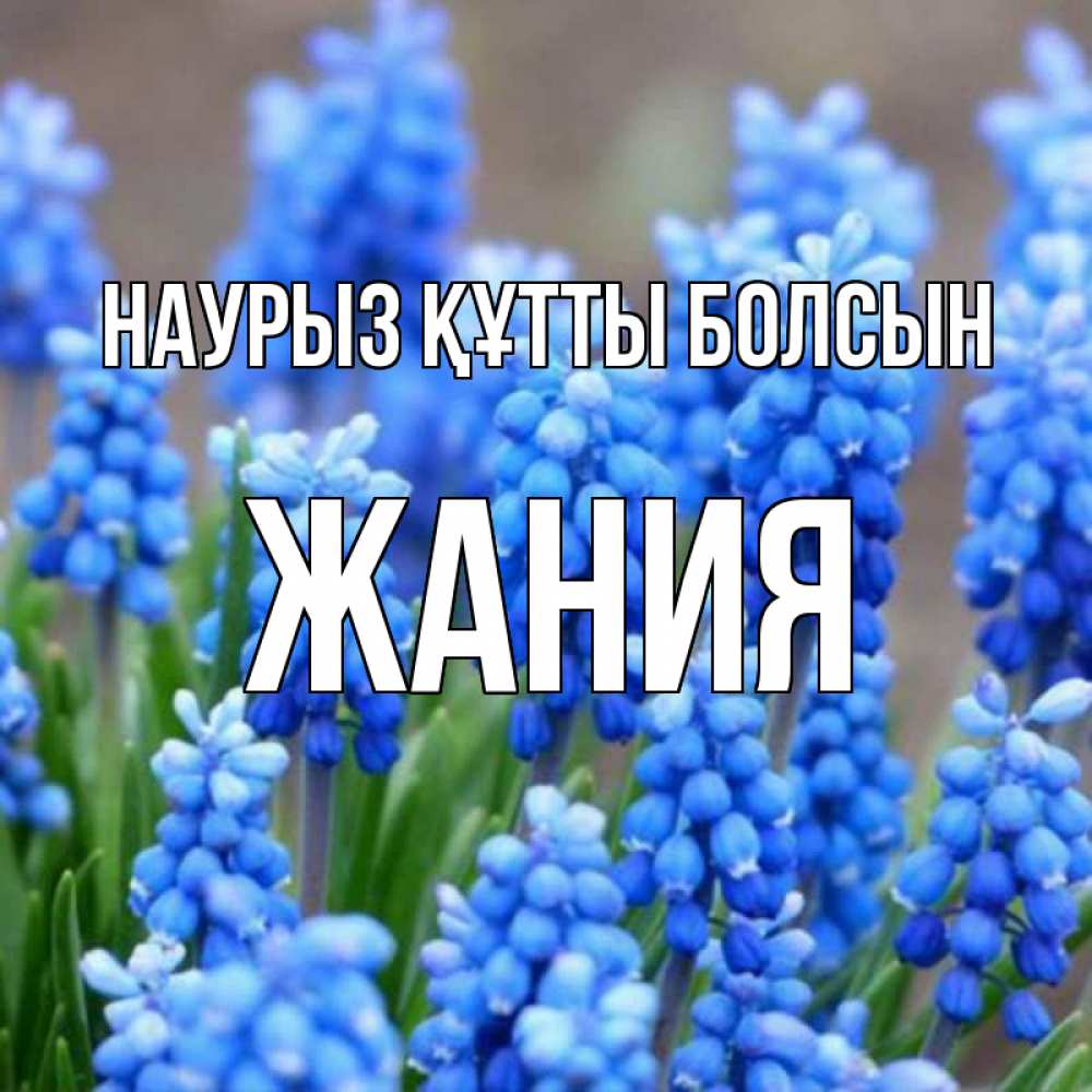 Күн сайын ашық хат с именем, ЖАНИЯ Наурыз құтты болсын Поздравительная открытка для женщин с цветами на праздничную дату Онлайн тегін жүктеп алу тілектері бар керемет карта 