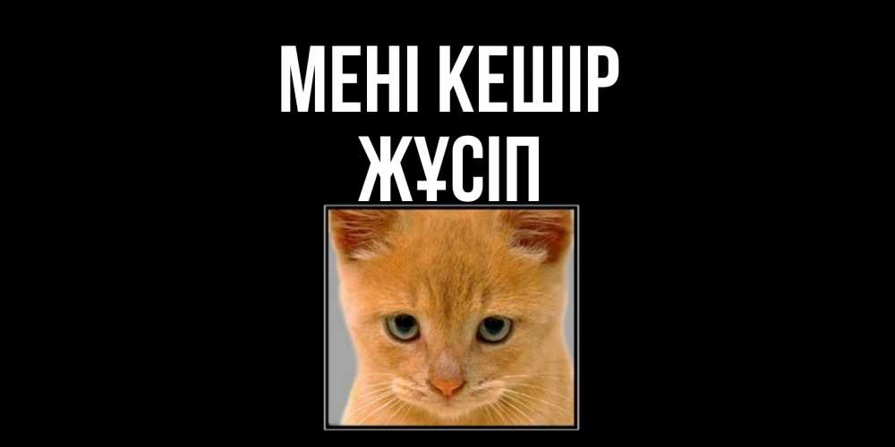 Күн сайын ашық хат с именем, Жұсіп Мені кешір рыжий грустный кот просит прощения Онлайн тегін жүктеп алу тілектері бар керемет карта 