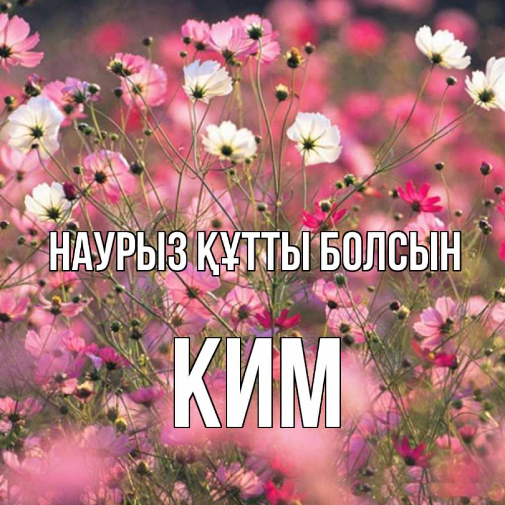 Күн сайын ашық хат с именем, Ким Наурыз құтты болсын красиво 1 Онлайн тегін жүктеп алу тілектері бар керемет карта 
