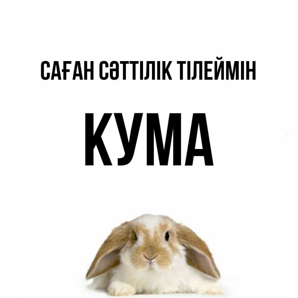 Күн сайын ашық хат с именем, Кума Саған сәттілік тілеймін открытки с произвольным текстом который можно вставить в открытку и создать ее самостоятельно бесплатно онлайн Онлайн тегін жүктеп алу тілектері бар керемет карта 