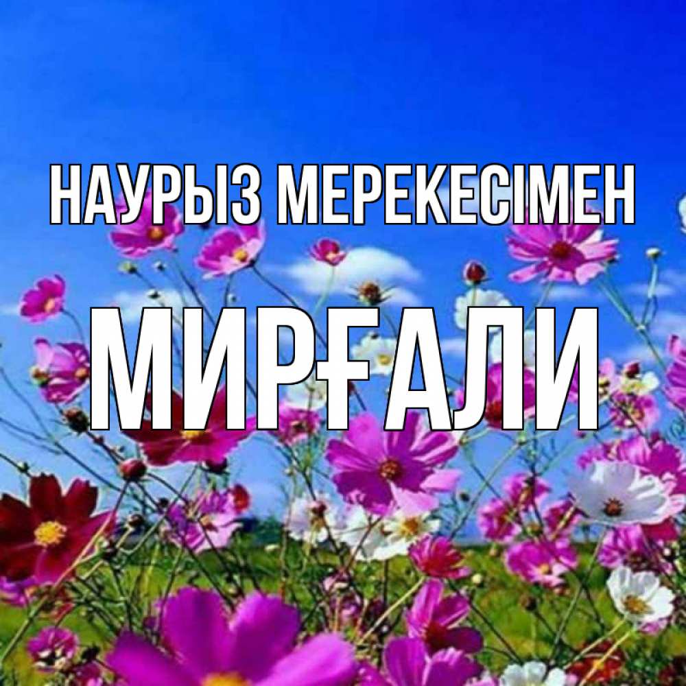Күн сайын ашық хат с именем, МИРҒАЛИ Наурыз мерекесімен цветы Онлайн тегін жүктеп алу тілектері бар керемет карта 