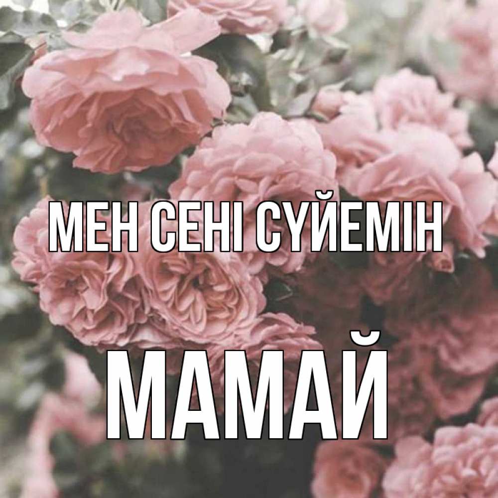 Күн сайын ашық хат с именем, Мамай Мен сені сүйемін розы 3 Онлайн тегін жүктеп алу тілектері бар керемет карта 