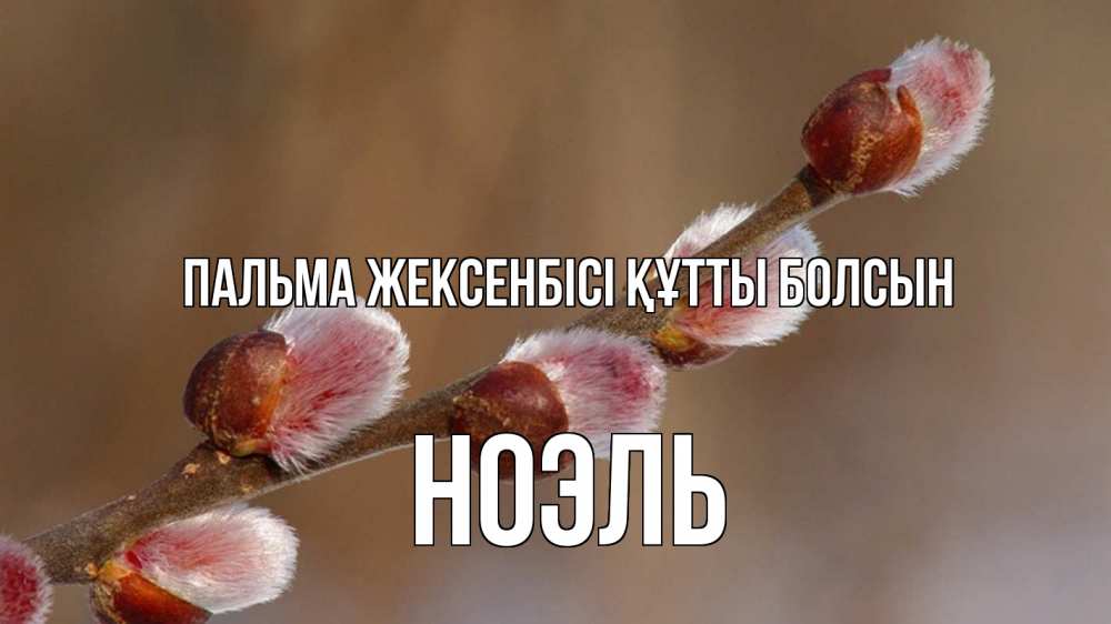 Күн сайын ашық хат с именем, НОЭЛЬ Пальма жексенбісі құтты болсын верба Онлайн тегін жүктеп алу тілектері бар керемет карта 