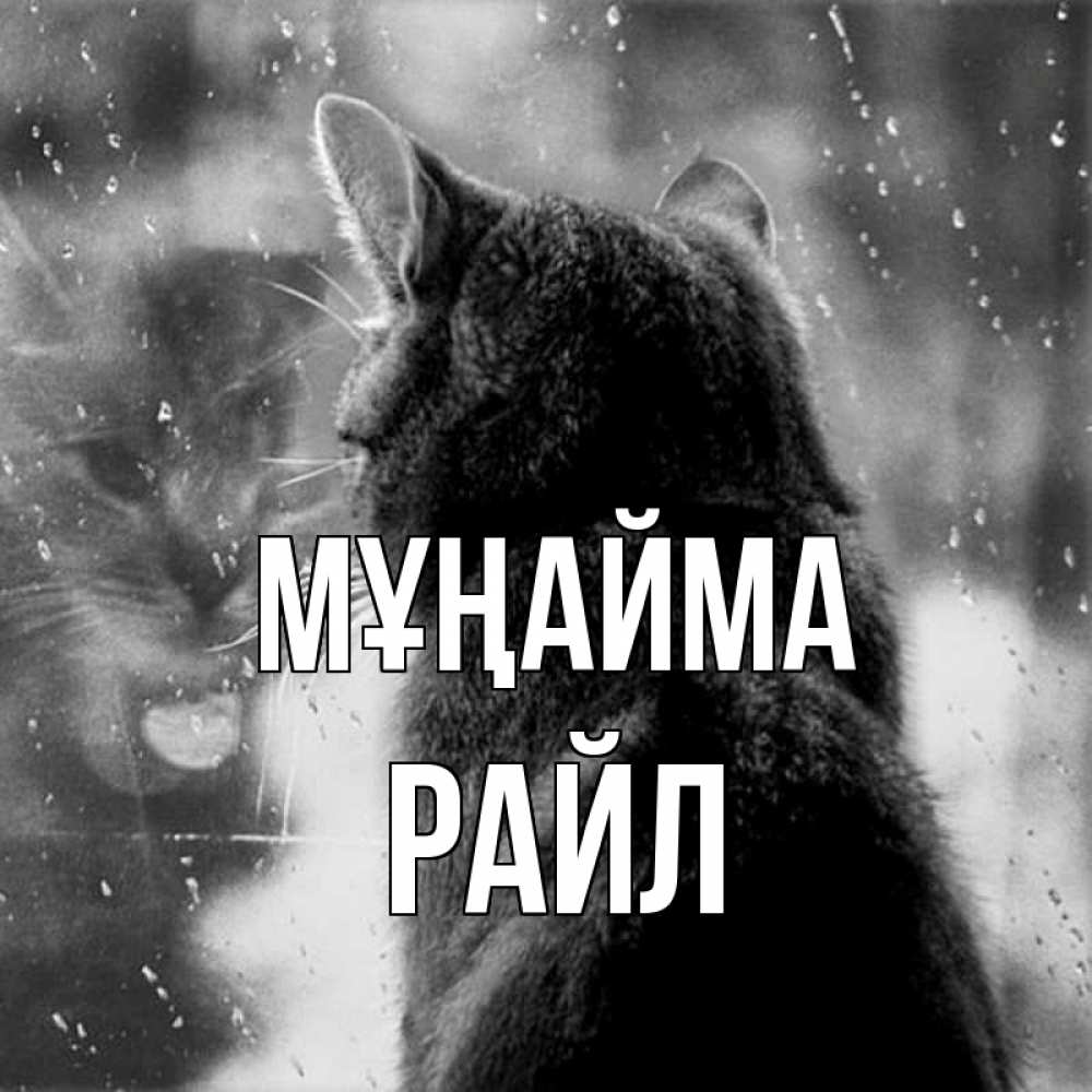 Күн сайын ашық хат с именем, РАЙЛ Мұңайма отражение кота 1 Онлайн тегін жүктеп алу тілектері бар керемет карта 