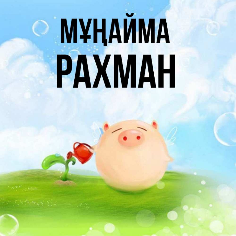 Күн сайын ашық хат с именем, РАХМАН Мұңайма поливает цветок порося Онлайн тегін жүктеп алу тілектері бар керемет карта 