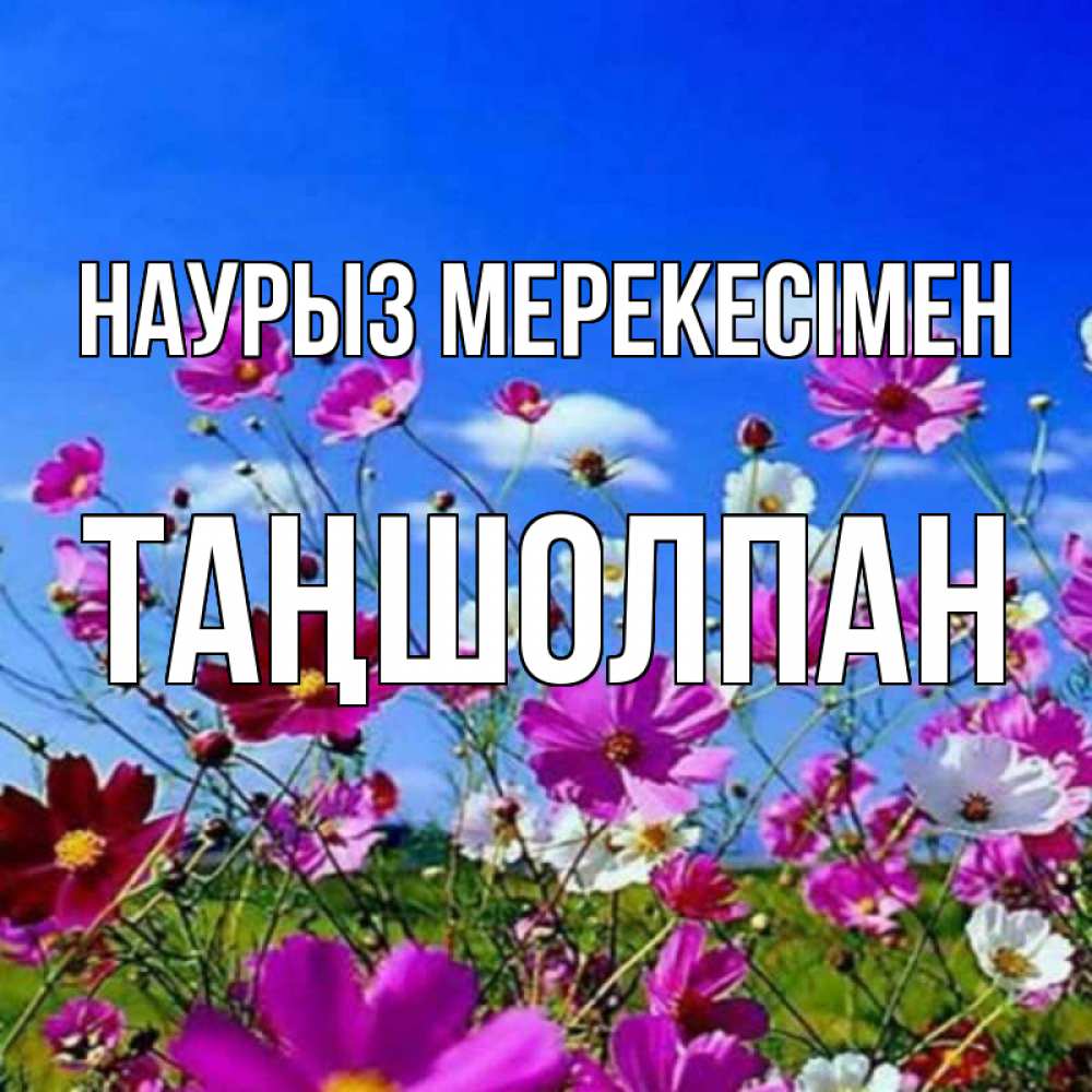 Күн сайын ашық хат с именем, ТАҢШОЛПАН Наурыз мерекесімен цветы Онлайн тегін жүктеп алу тілектері бар керемет карта 