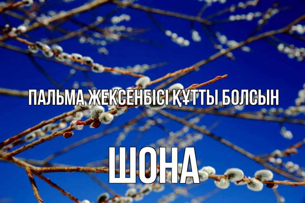 Күн сайын ашық хат с именем, ШОНА Пальма жексенбісі құтты болсын верба Онлайн тегін жүктеп алу тілектері бар керемет карта 