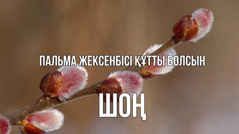 Күн сайын ашық хат с именем, ШОҢ Пальма жексенбісі құтты болсын верба Онлайн тегін жүктеп алу тілектері бар керемет карта 