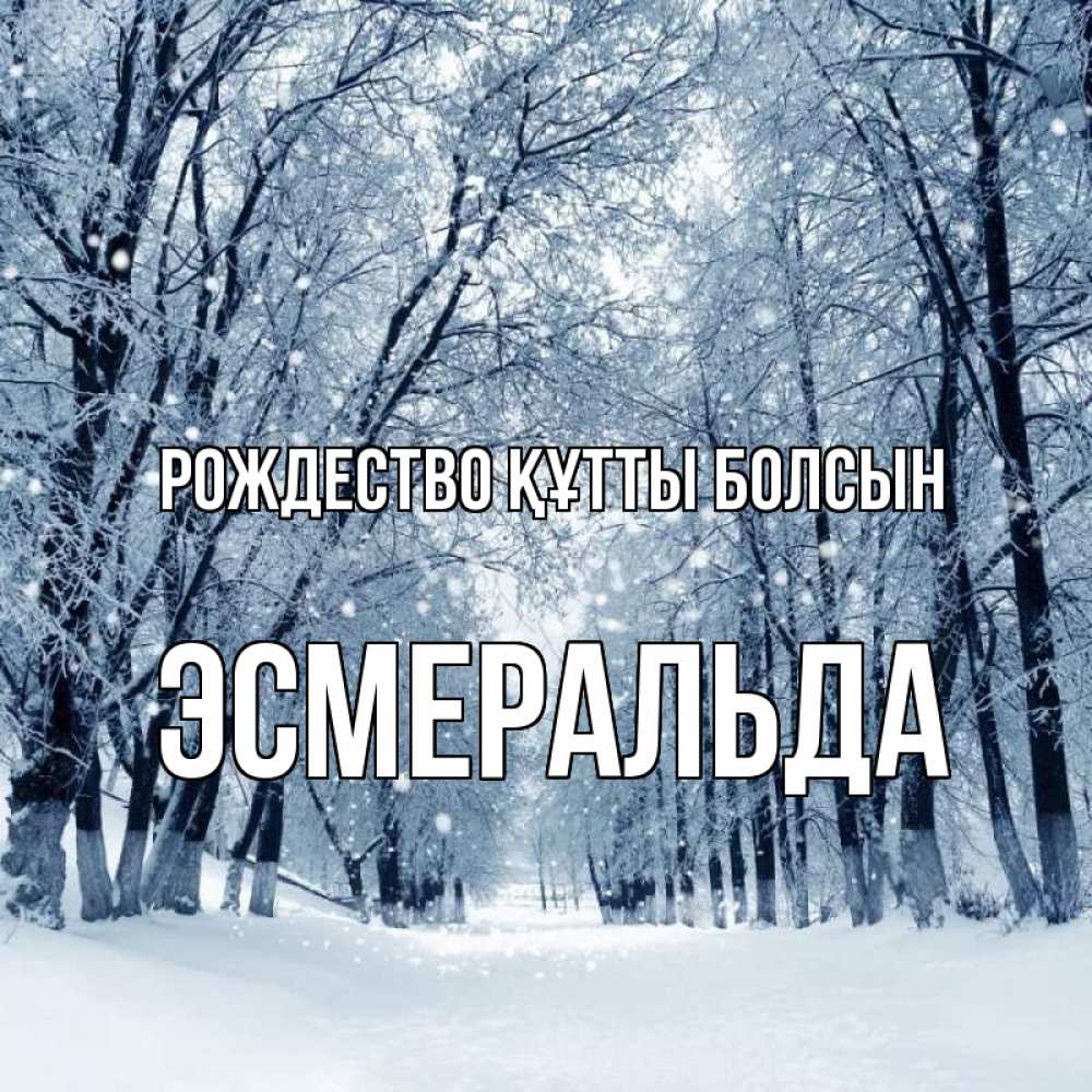 Күн сайын ашық хат с именем, Эсмеральда Рождество құтты болсын снег, лес, парк Онлайн тегін жүктеп алу тілектері бар керемет карта 