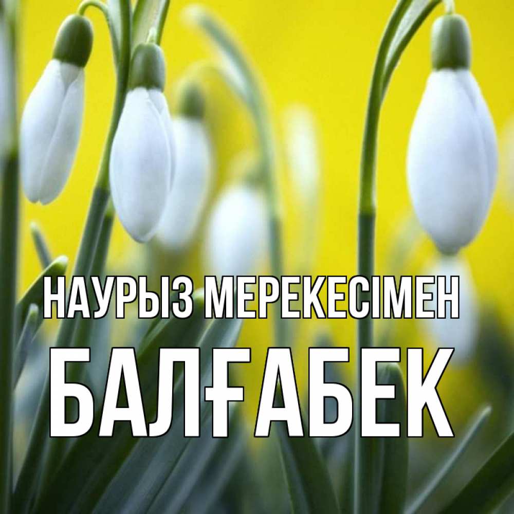 Күн сайын ашық хат с именем, Балғабек Наурыз мерекесімен весенние цветы Онлайн тегін жүктеп алу тілектері бар керемет карта 