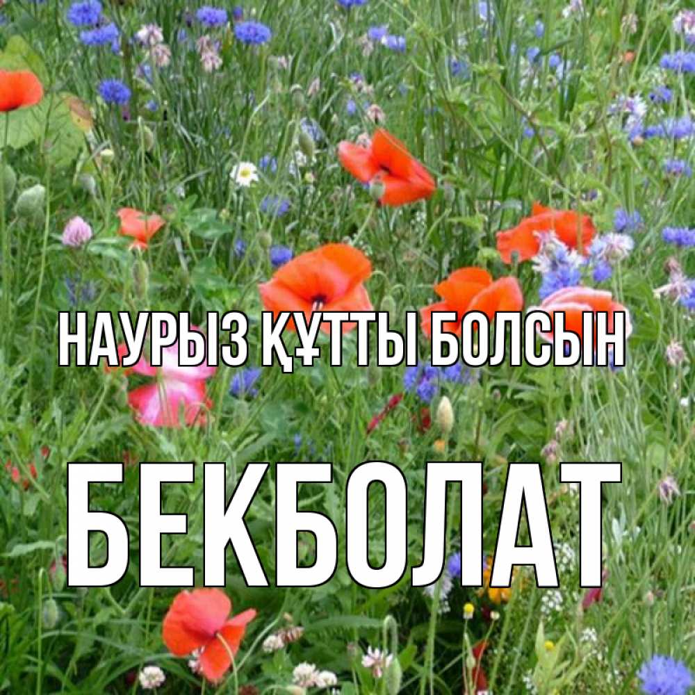 Күн сайын ашық хат с именем, Бекболат Наурыз құтты болсын наурыз  4 Онлайн тегін жүктеп алу тілектері бар керемет карта 