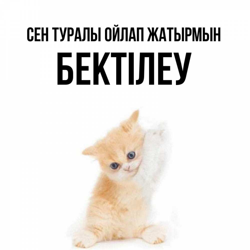 Күн сайын ашық хат с именем, Бектілеу Сен туралы ойлап жатырмын зверушки и милота Онлайн тегін жүктеп алу тілектері бар керемет карта 