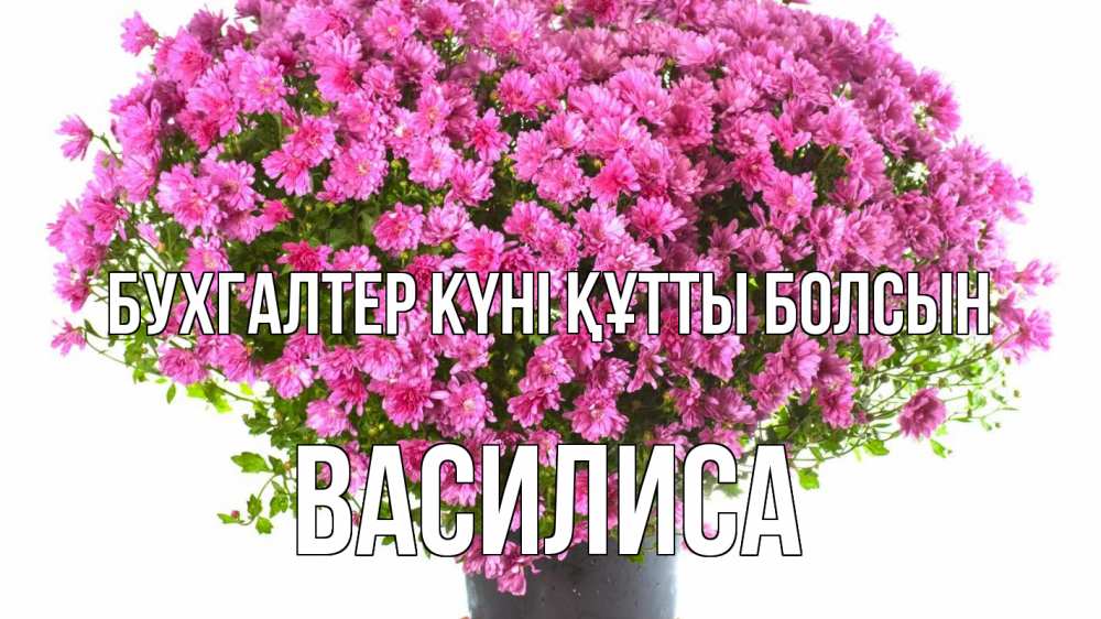 Күн сайын ашық хат с именем, Василиса бухгалтер күні құтты болсын с днем бухгалтера Онлайн тегін жүктеп алу тілектері бар керемет карта 